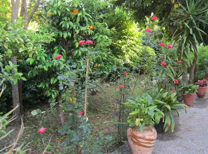 Cruz Πανσιόν 3*